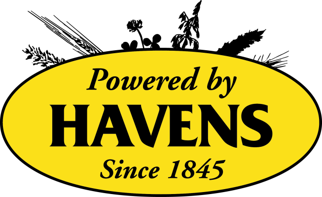 Havenes