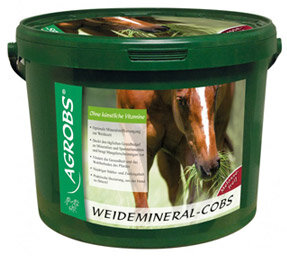 Agrobs Weidemineral-Cobs 10 kg