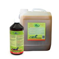 Rokale BremsenClean BC Forte 1 Liter