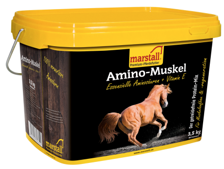 Marstall Amino-Muskel