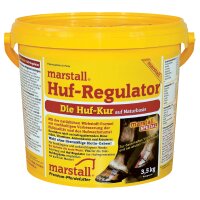 Marstall Huf-Regulator
