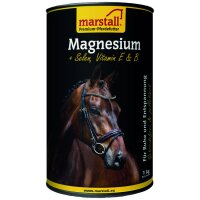 Marstall Piano Magnesium
